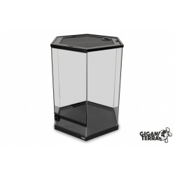 Terrarium GIGAHIVE L
