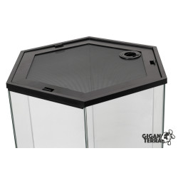 Terrarium GIGAHIVE L