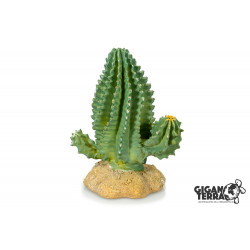 Cactus 1 (13x7.5x15cm)