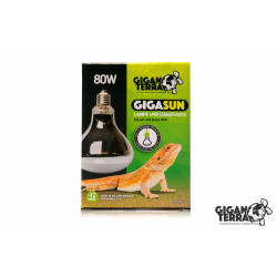 GIGASUN Bulb 80W