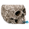 Calavera XXL