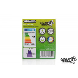 GIGAHID 35w   6000K