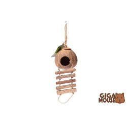 COCONUT HOUSE WITH A LADDER