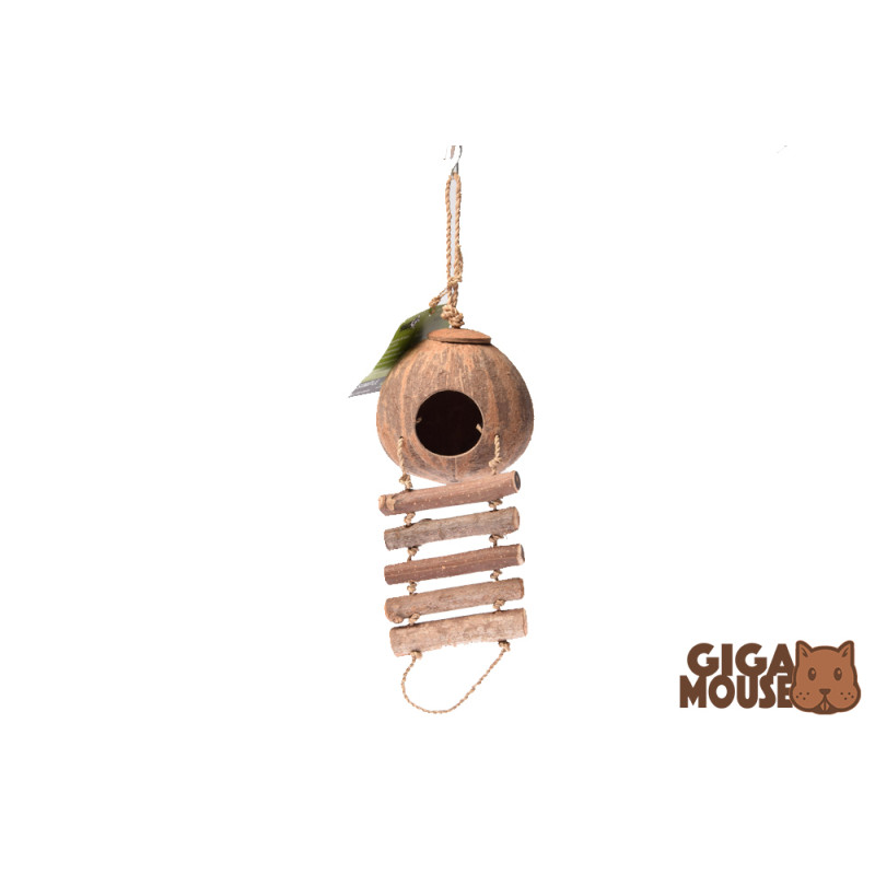 COCONUT HOUSE WITH A LADDER