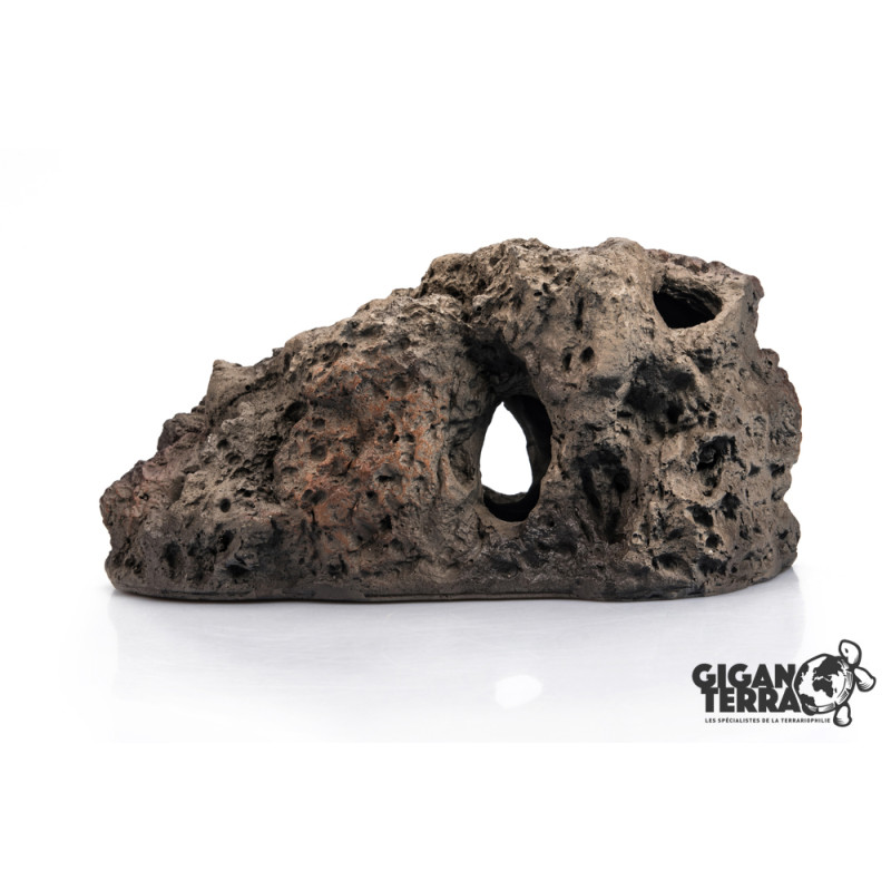 Jaskinia Koralowa (XL)