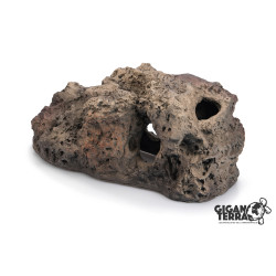 Jaskinia Koralowa (XL)