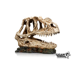 DINOSAUR SKULL 1