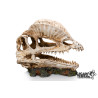 DINOSAUR SKULL 2