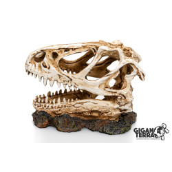 DINOSAUR SKULL 3