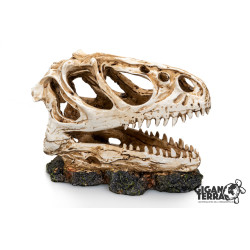 DINOSAUR SKULL 3