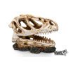 DINOSAUR SKULL 3